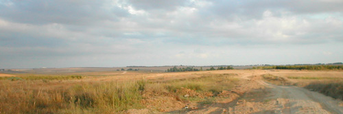 Het terrein in de Negev woestijn.